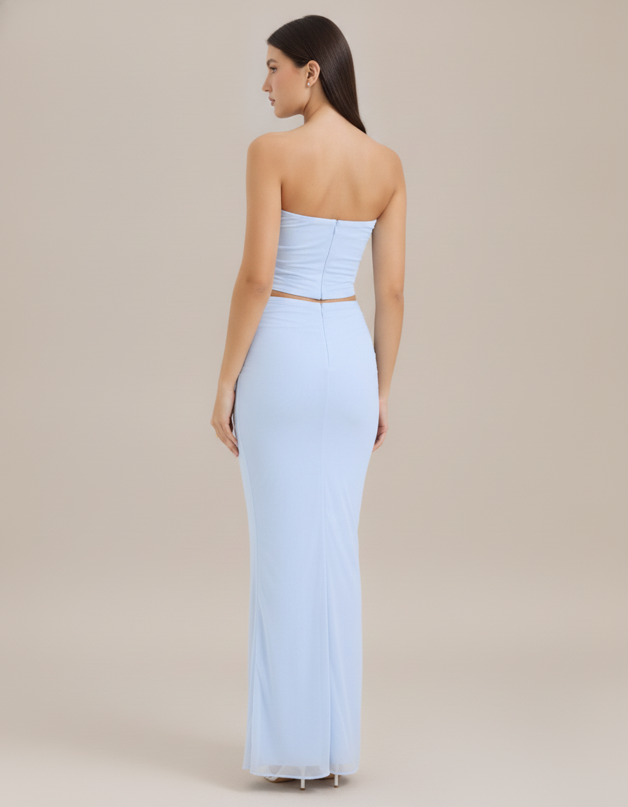 Tube Top & Maxi Skirt Set — back view